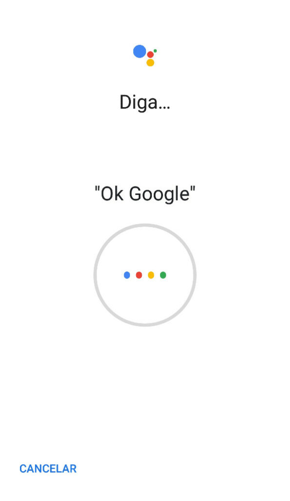 Diga Ok Google 1